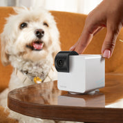 Petcube 寵物智能監控鏡頭 - Cam 360 ( 360°高清視野）