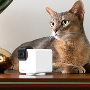Petcube 寵物智能監控鏡頭 - Cam 360 ( 360°高清視野）